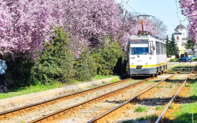 Ciucu, despre șantierele pe tramvai: „Dacă nu le facem, nu le mai facem!”