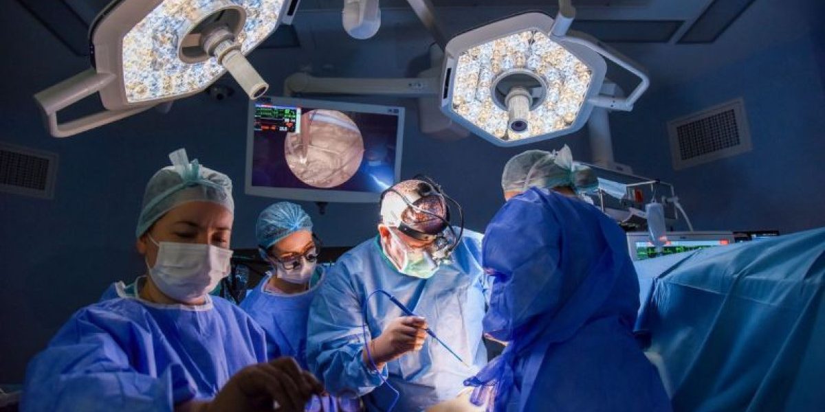 MCZ6Yz0xJmhhc2g9YjFhOWQzMTBhNDgyMzNjYTU5NzM4NDBiOTQ5ZDg2YWM.thumb_.jpg - StiriAlese