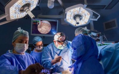 MCZ6Yz0xJmhhc2g9YjFhOWQzMTBhNDgyMzNjYTU5NzM4NDBiOTQ5ZDg2YWM.thumb_.jpg - StiriAlese