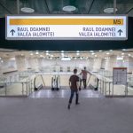 FOTO: Bucureștiul felin! Stațiile de metrou devin pisici cu povești