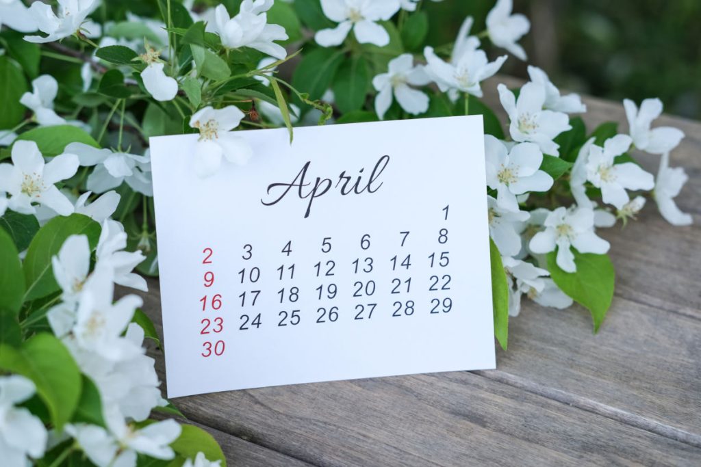 Pe data de 5 aprilie 2026, creștinii din întreaga țară sărbătoresc Duminica Floriilor, o zi cu o semnificație profundă în calendarul religios