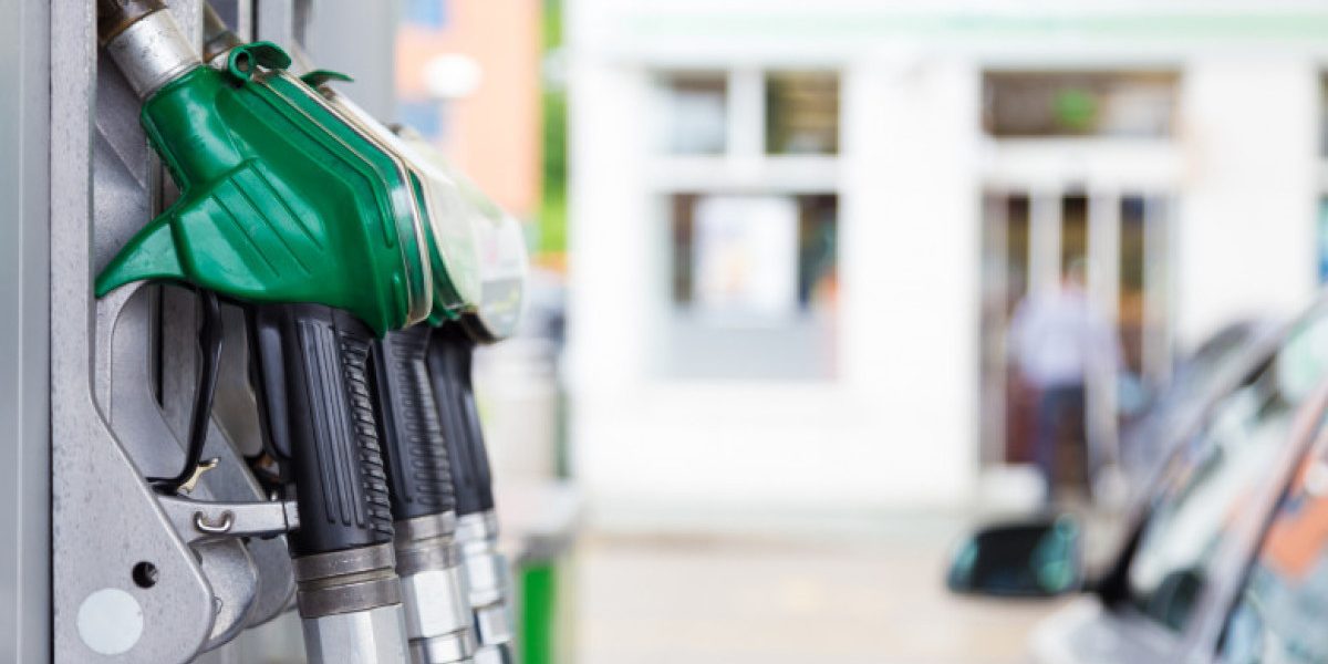 Mjg3ZDJlMGE2OWRmZmM5ODY4ODAzYjVjMWQ3NmM5Zg.thumb_.jpg - StiriAlese