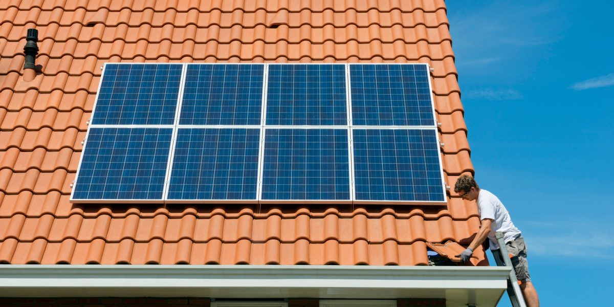 NzdlZDdmOThkYzlkZDJlY2ZmZGY3ODhjNDA0MzYx.thumb_.jpg - StiriAlese