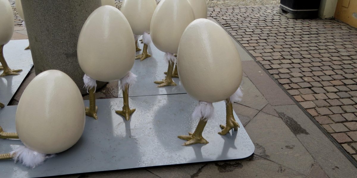 Oua-gigantice-cu-picioare-Timisoara.jpg - StiriAlese