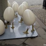 Oua-gigantice-cu-picioare-Timisoara.jpg - StiriAlese