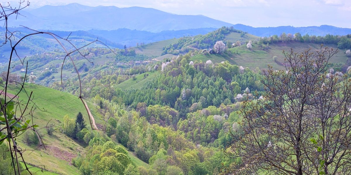 Peisaj-de-primavara.jpg - StiriAlese