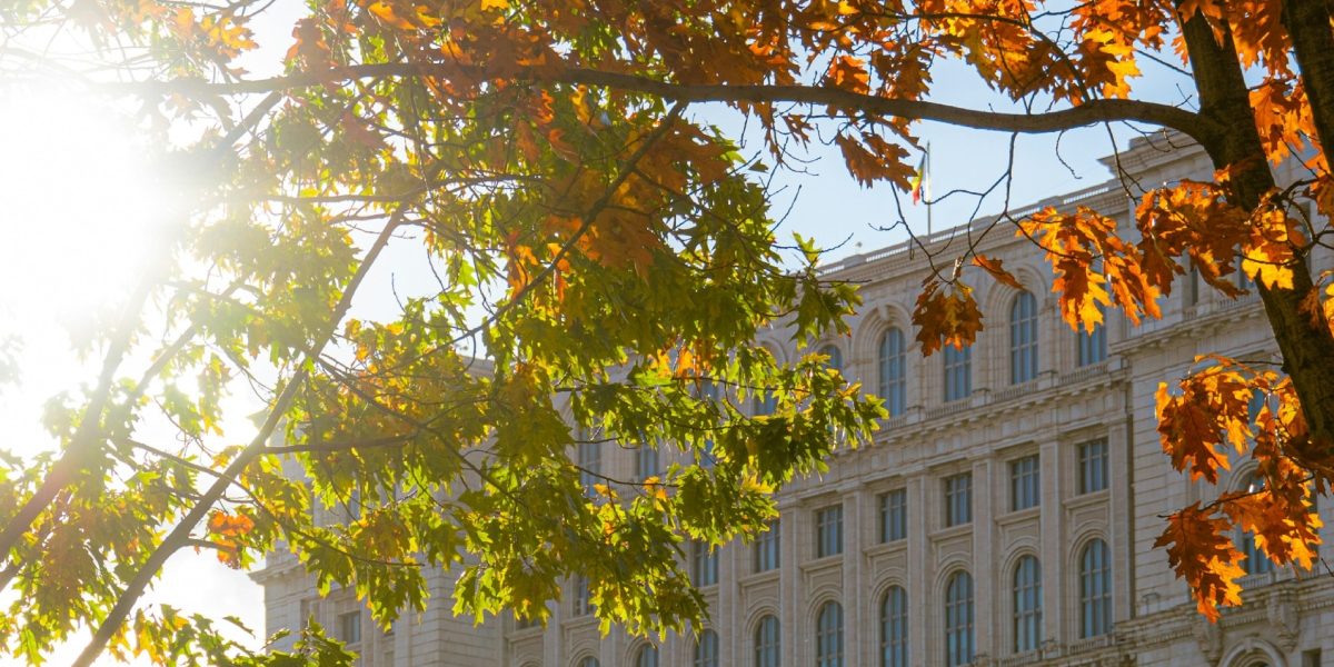 Primăria Capitalei investește în protejarea locuitorilor în fața intensificării efectelor schimbărilor climatice, prin înființarea unei rețele extinse de refugii anti-caniculă în București