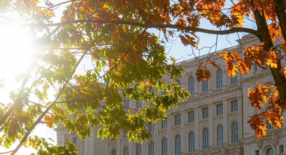 Primăria Capitalei investește în protejarea locuitorilor în fața intensificării efectelor schimbărilor climatice, prin înființarea unei rețele extinse de refugii anti-caniculă în București