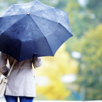 Screenshot-2025-05-19-at-14.43.45-1024x560.png - StiriAlese