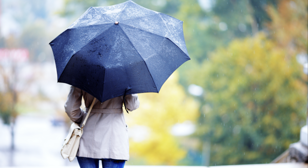 Screenshot-2025-05-19-at-14.43.45-1024x560.png - StiriAlese