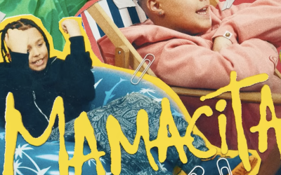 Frații Velea, sub focul criticilor: Melodia-bombă și limbajul interzis minorilor