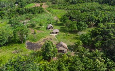 Drumuri antice, vechi de 2.700 de ani, dezvăluite în inima Amazonului