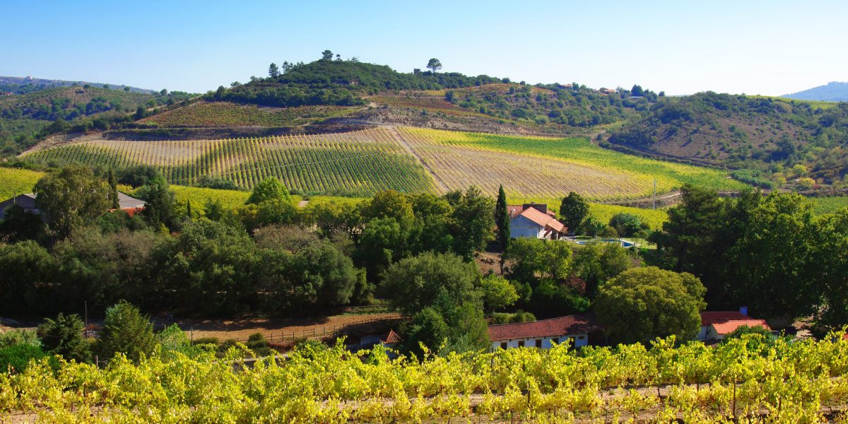 Legea controversată care le permite statului să-ți ia terenul și să-l dea unei companii private, UE cere intervenția