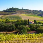 Legea controversată care le permite statului să-ți ia terenul și să-l dea unei companii private, UE cere intervenția