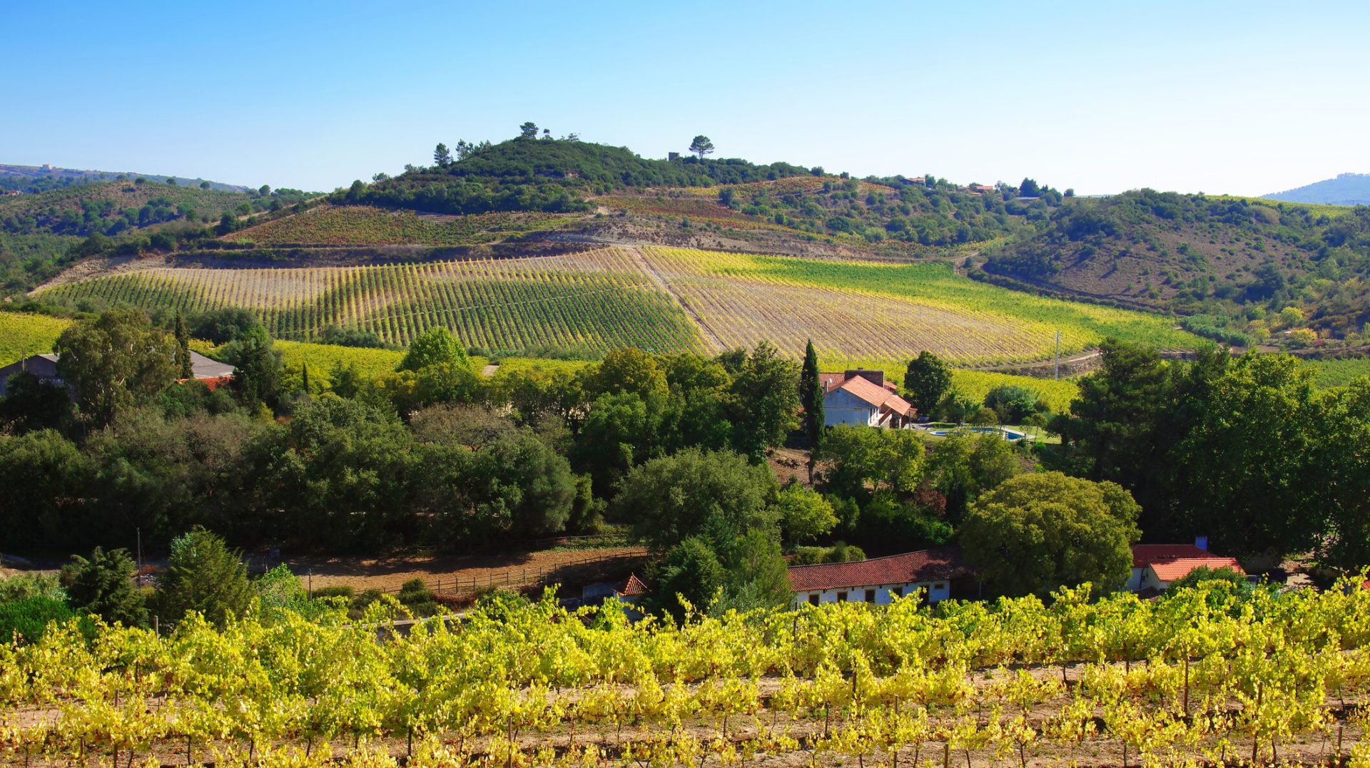 ONG-urile din România solicită intervenția Comisiei Europene privind legea exproprierilor miniere Un număr de 60 de organizații neguvernamentale din România au trimis o scrisoare oficială către președintele Comisiei Europene, Ursula von der Leyen, și către Viviane d’Udekem d’Acoz, Secretarul General Adjunct al acesteia, cerând intervenția instituției europene în legătură cu legislația recent adoptată privind exproprierile pentru proiecte miniere