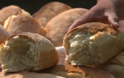 Banatul, regiune gastronomică europeană în 2028: Victorie istorică pentru România!