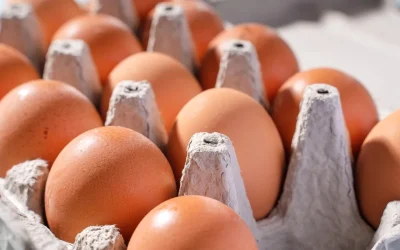 Unde-gasesti-cele-mai-ieftine-oua-inainte-de-Paste-2026.webp.webp - StiriAlese