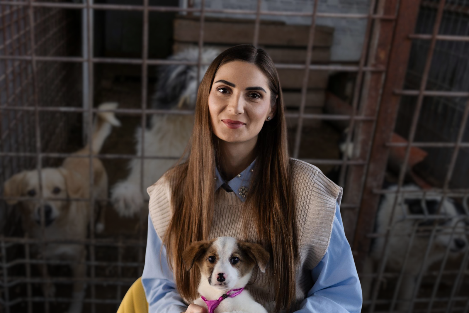 Scandalul legat de adăposturile pentru câini fără stăpân, precum cele din Suraia sau Uzunu, a expus deficiențe sistemice în gestionarea animalelor de companie de către autoritățile locale din România
