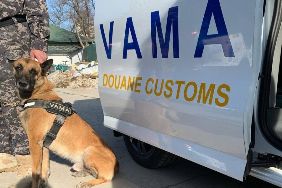 Vama-vames-autoritatea-vamala-romana-caine-e1759302289804.jpg - StiriAlese