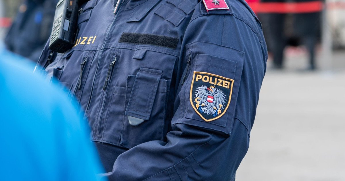 Poliția din Viena a reținut o bandă de escroci formată aproape în totalitate din români