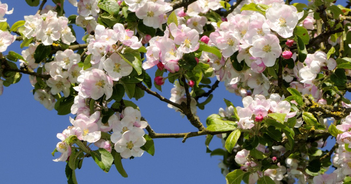 Cum va fi vremea de Paște. ANM a publicat prognoza meteo pe regiuni