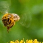 Melegszik az idő, akár húsz fok is lehet csütörtökön!