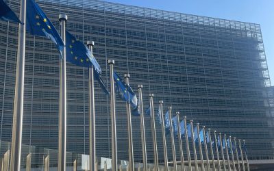 Auditori UE, cu ochii pe decarbonizare: Fondul, sub lupă