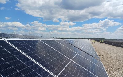 Băieții „deștepți” din energie, falimentari pe OLX: Vând parcuri solare