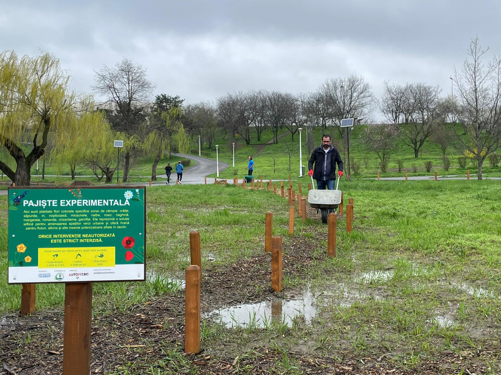 Parcul Tineretului din București găzduiește de câțiva ani proiecte de revitalizare a spațiilor verzi urbane, dar aceste inițiative primează mai ales în zonele mai puțin aglomerate și mai greu accesibile pentru întreținere
