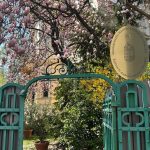 Reportaj: Cum a fost trăită înfrângerea lui Orban la Ambasada Ungariei din București