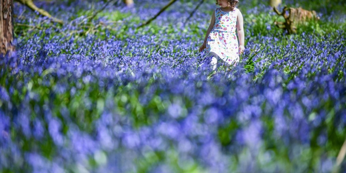 Vremea se încalzește: Meteorologii anunță temperaturi peste media din România