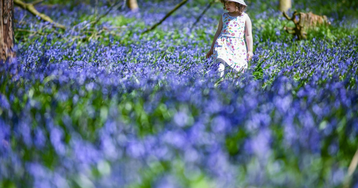 Vremea se încalzește: Meteorologii anunță temperaturi peste media din România