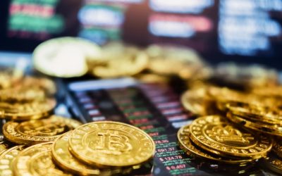 YXNoPWQ5YWI0NzBlODE1MjMwZDJhZWYwNmYwNjYxNTc1MDRj.thumb_.jpg - StiriAlese