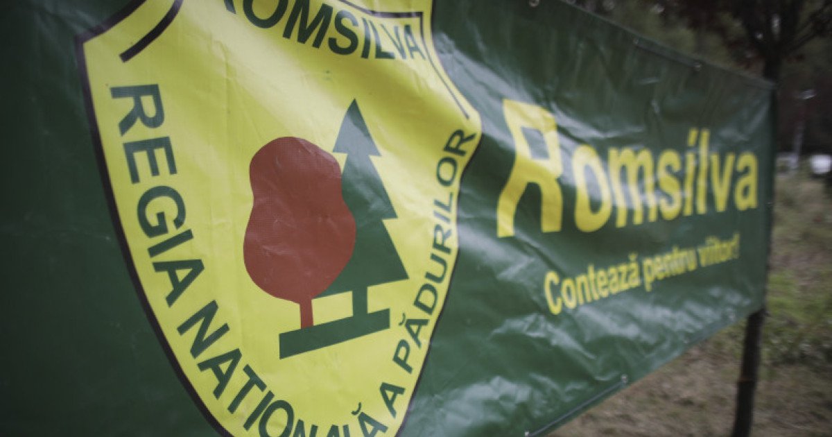 Sindicaliștii Romsilva atacă reorganizarea regiei în instanță