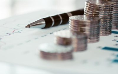 Criza politică, pericol pentru economie: Păun avertizează pe politicieni