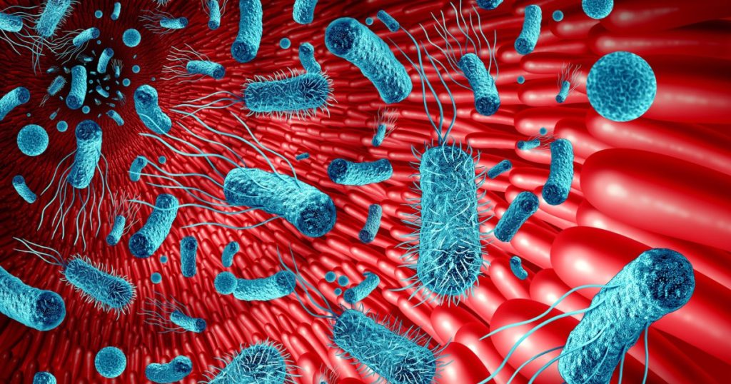 Intestinul, „al doilea creier”: Cum influențează microbiomul memoria și sănătatea