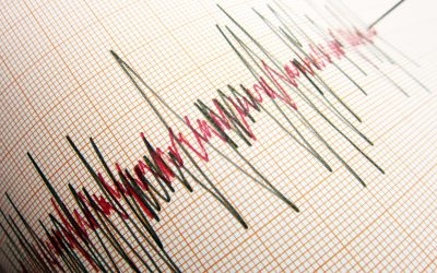 Două cutremure au zguduit România: Unde au fost simțite seismele