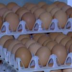 Ouă infestate cu Salmonella, retrase de la vânzare: pericol înainte de sărbători