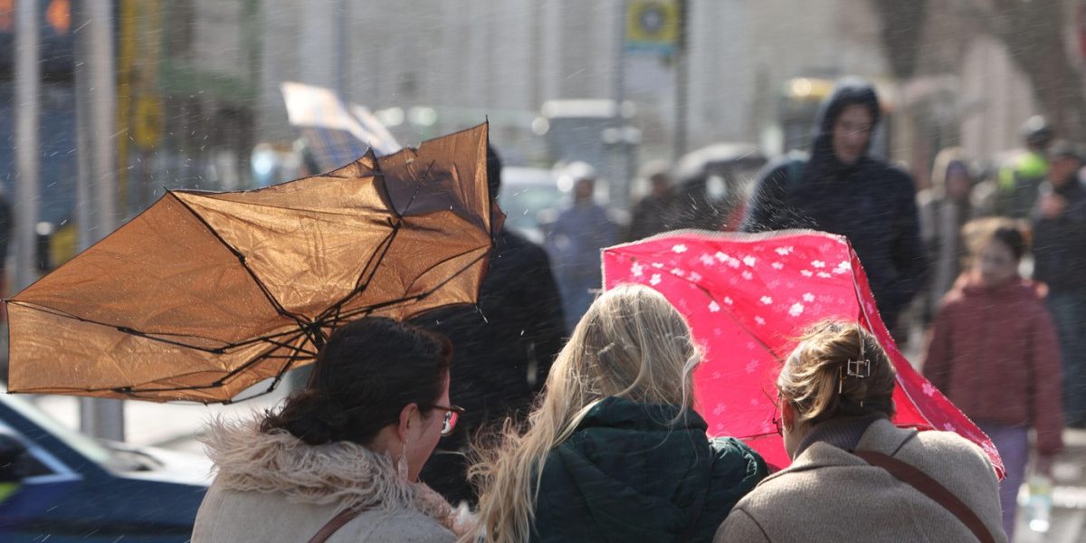 aGFzaD04Nzg4NmU0ZjA1YjEyNmNjNzMzZGFjMzViN2U0OWNjOQ.thumb_.jpg - StiriAlese