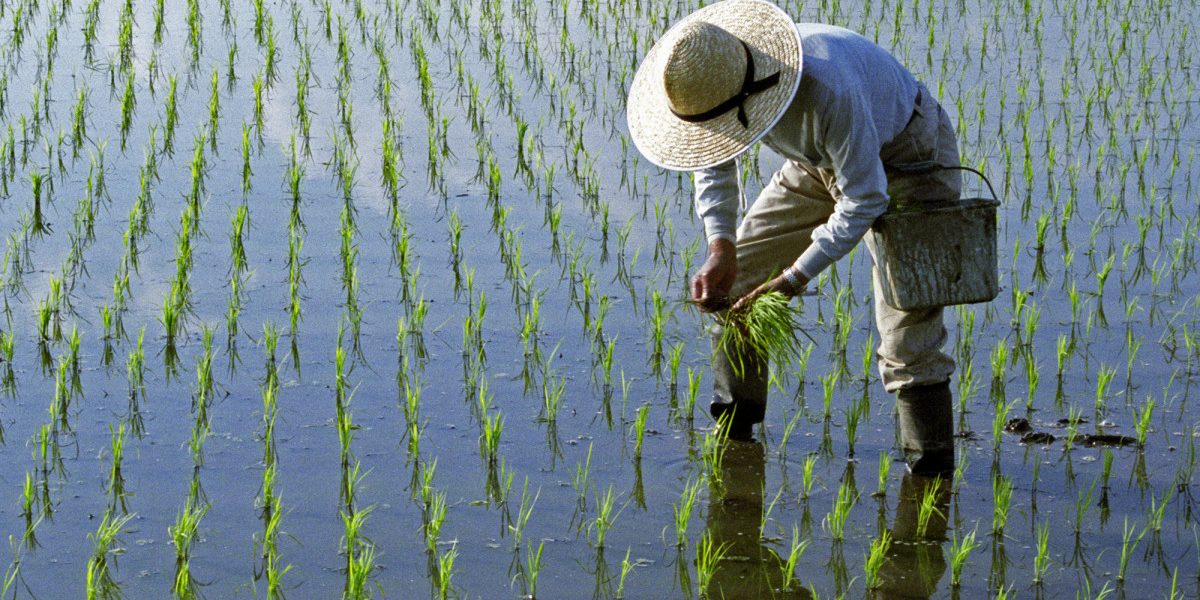 Lipsa combustibilului, efect direct al războiului din Iran: Asia, sub amenințarea foametei