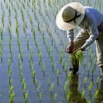 Lipsa combustibilului, efect direct al războiului din Iran: Asia, sub amenințarea foametei