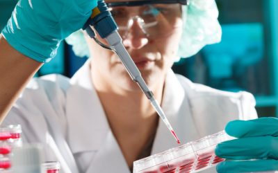 aGFzaD0yNjVkNjRkNzBiZjQxZTcxMzE4NTdmOWFjNDEzYzVlYw.thumb_.jpg - StiriAlese