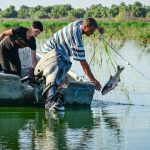 aGFzaD1mNWIxYWM2OTIwNTQ0ZGQ0ZWUyZGYzOTE1YmJkOGZmOQ.thumb_.jpg - StiriAlese