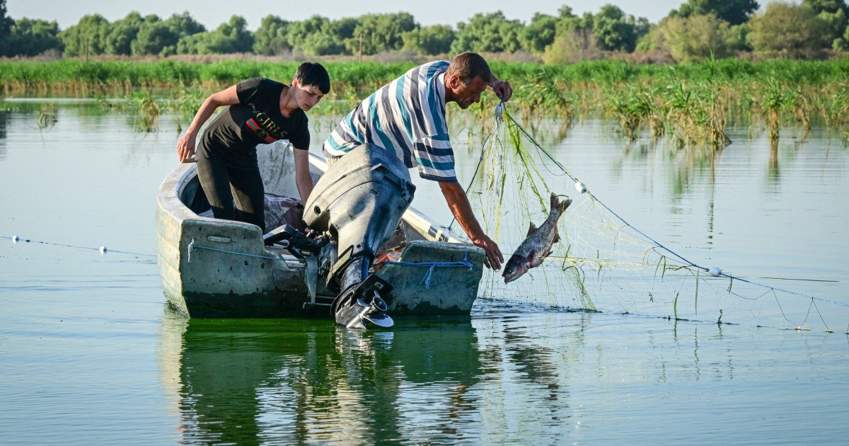 Pescarii tulceni au majorat prețurile pentru captura livrată către centrele de primă vânzare, situație cauzată de creșterea semnificativă a costurilor cu carburanții