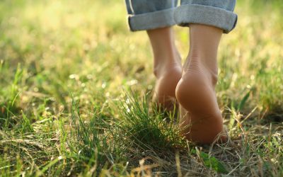 Harvard: Cercetătorii demolează mitul celor 10.000 de pași