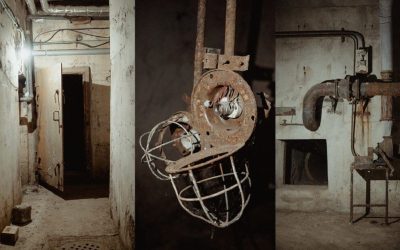 adapost-1024x618.jpg - StiriAlese