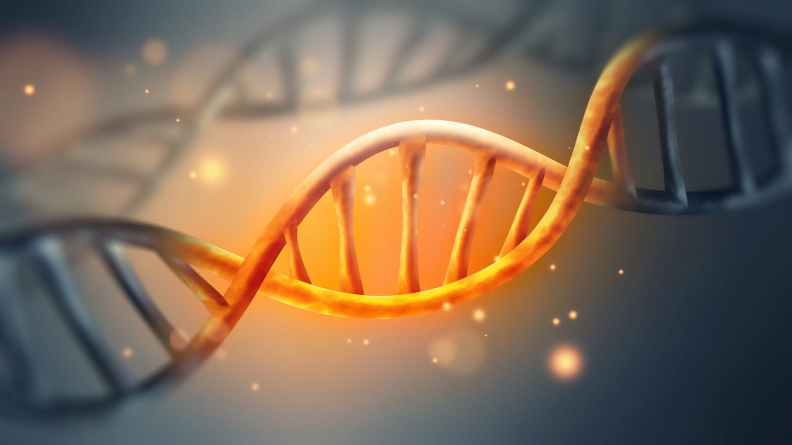 Unde se ascund secretele codului genetic: indicii-cheie?