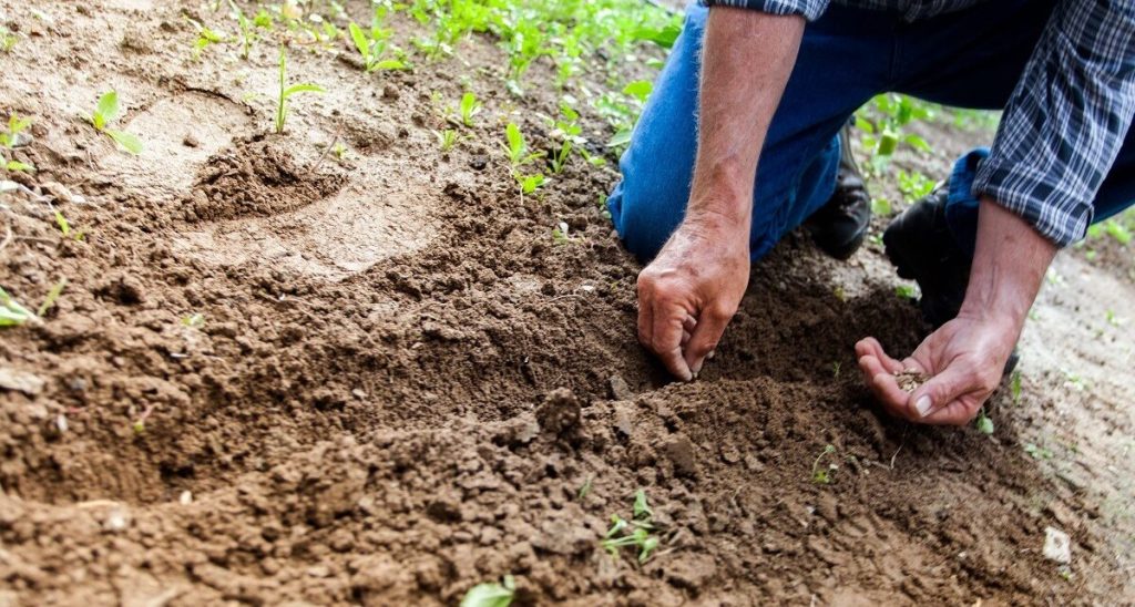 Europa repezintanții agriculturii protestează la Bruxelles din cauza exploziei prețurilor la îngrășăminte și a escaladării tensiunilor din Iran