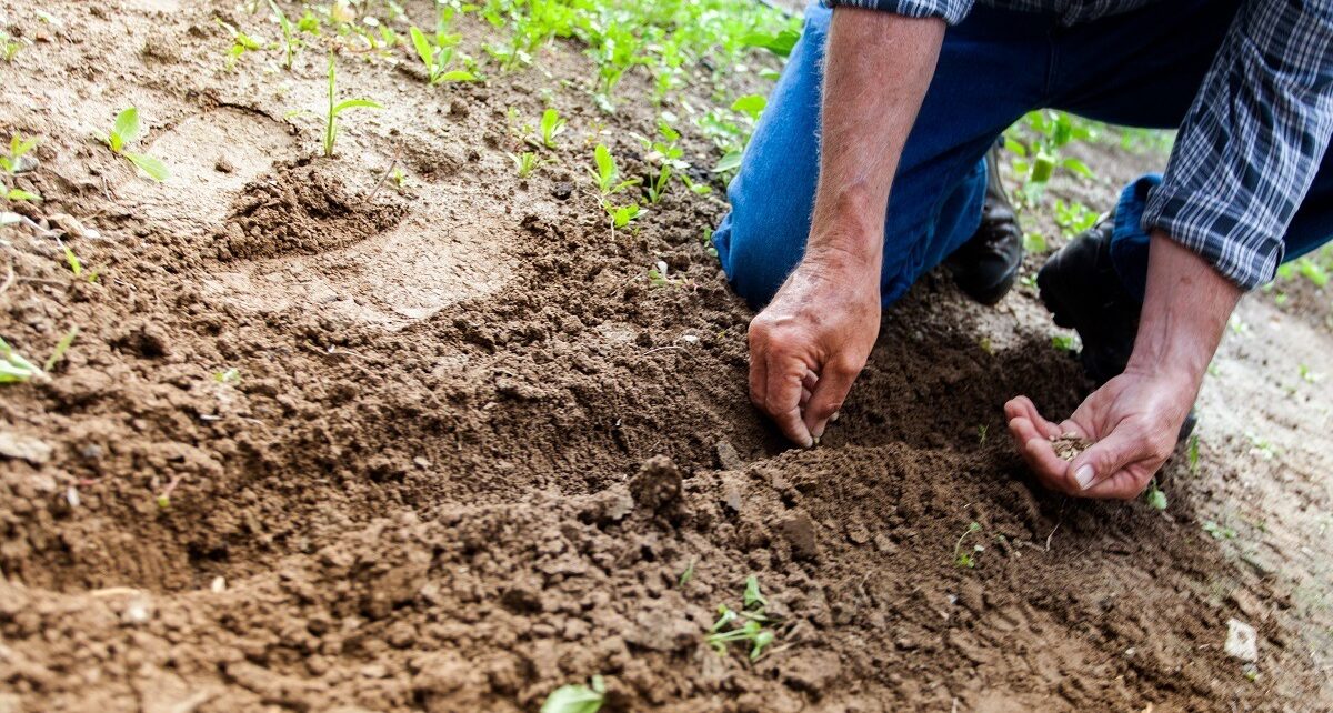 Europa repezintanții agriculturii protestează la Bruxelles din cauza exploziei prețurilor la îngrășăminte și a escaladării tensiunilor din Iran
