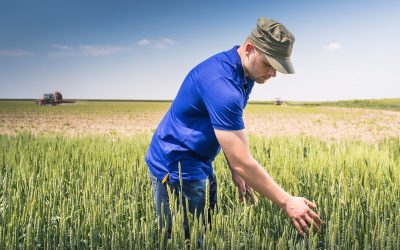 Criza îngrășămintelor: Fermierii cer ajutor urgent la Bruxelles